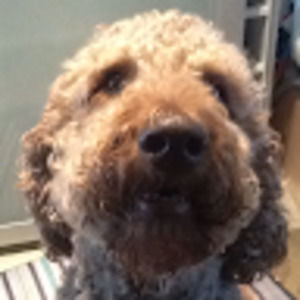 Meet your Posher, Jackie